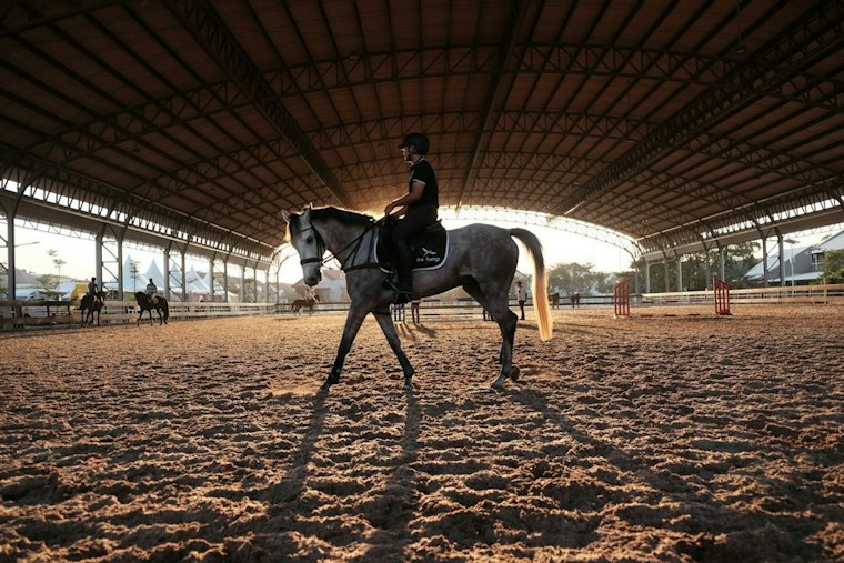 Riders Stand Atop Galloping Horses as Cirque Ma'Ceo Gallops Into Norco
