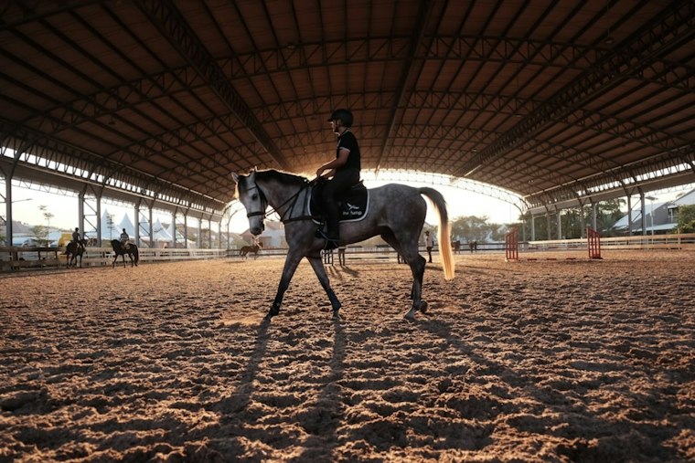 Riverview YMCA Camp Cristina Adds Shade Roof to Horseback Riding Arena