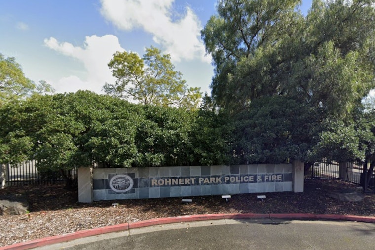 Rohnert Park Teen Shatters Business Window With BB Gun, Two Others Detained
