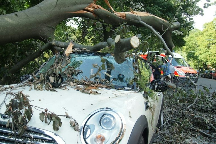 Man Dies After Car Hits Tree on Main Street in Romeo, Wife Hospitalized