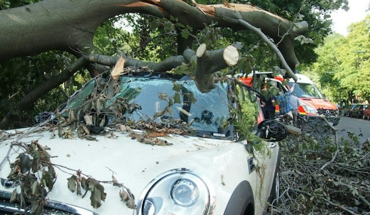 Man Dies After Car Hits Tree on Main Street in Romeo, Wife Hospitalized