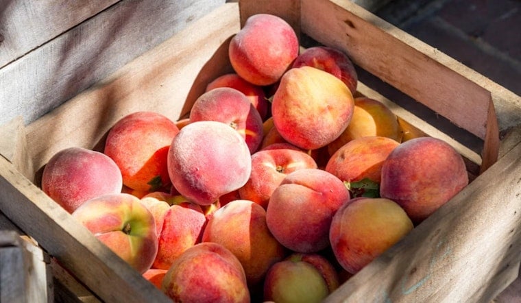 Romeo Peach Festival Marks 95th Year With Parades, Carnival Rides Through Labor Day