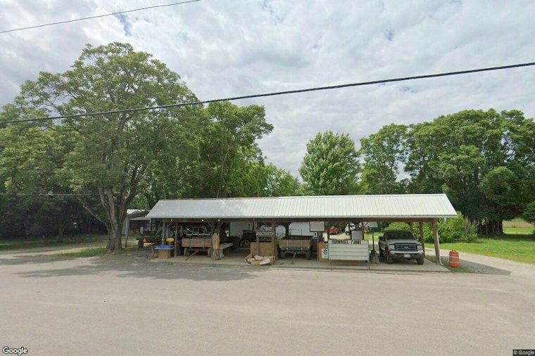 Ross Township Farm Cuts Dolly Parton Tribute Into Its Sunflower Field