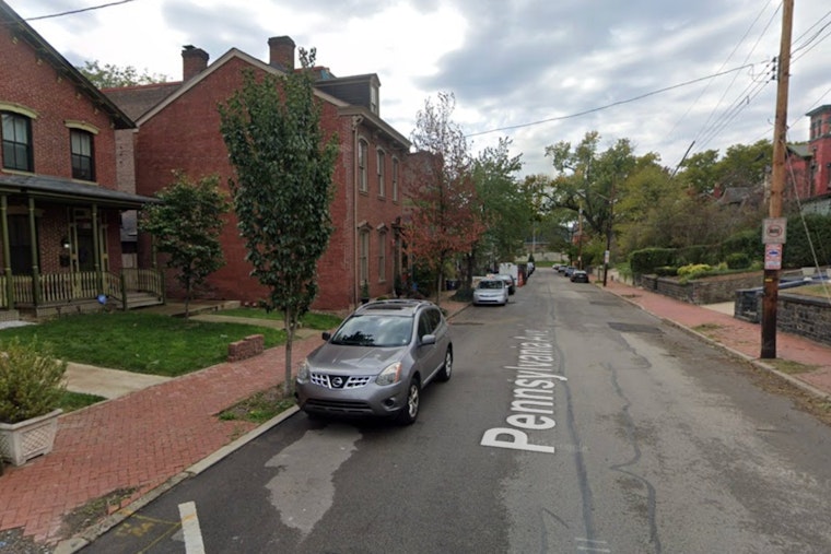 Rotted Oak Crashes Down in Manchester, Unleashing Bee Swarms on Crews