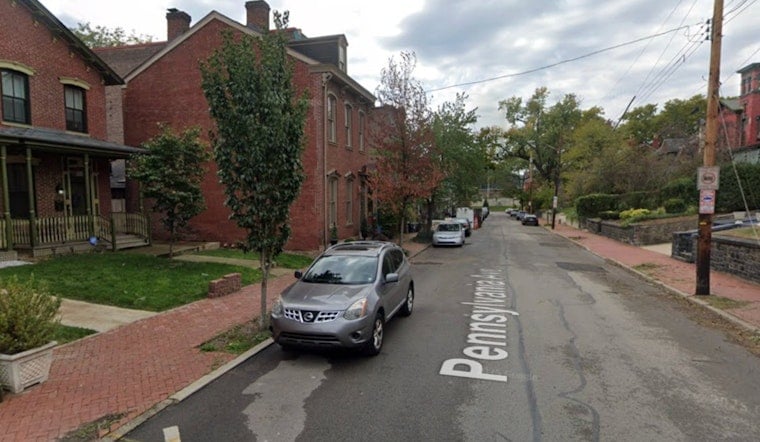 Rotted Oak Crashes Down in Manchester, Unleashing Bee Swarms on Crews