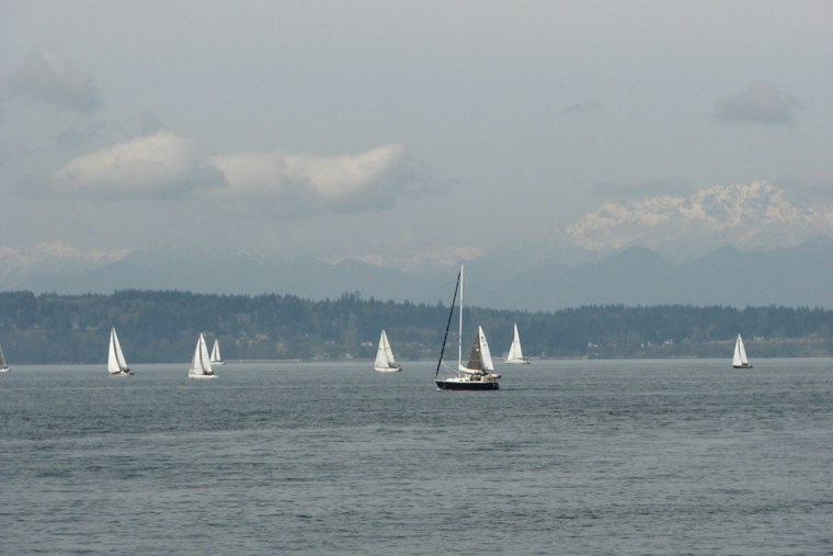 Sailboat Capsizes Off Ballard's Shilshole Bay, Bystander Boat Saves Two