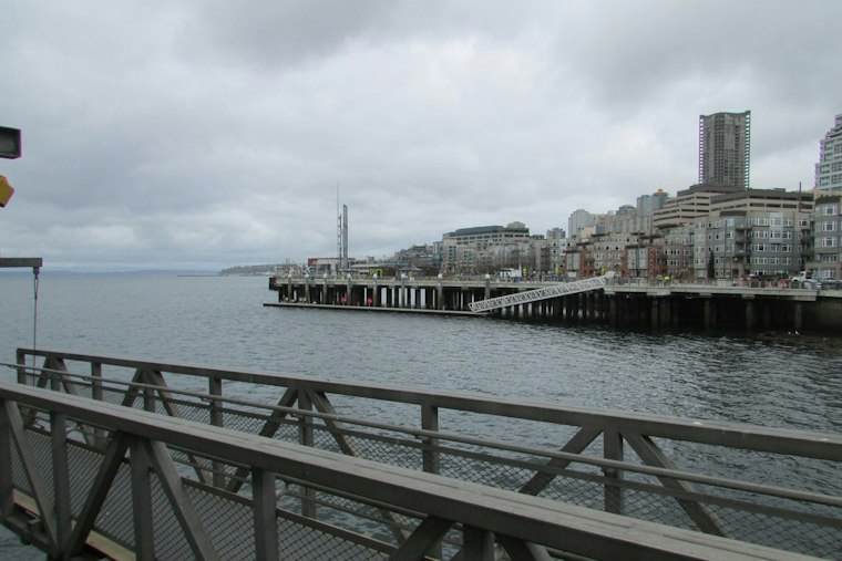 Salmon Homecoming Returns to Seattle's Waterfront With Canoes, Songs and a 34-Year Tradition