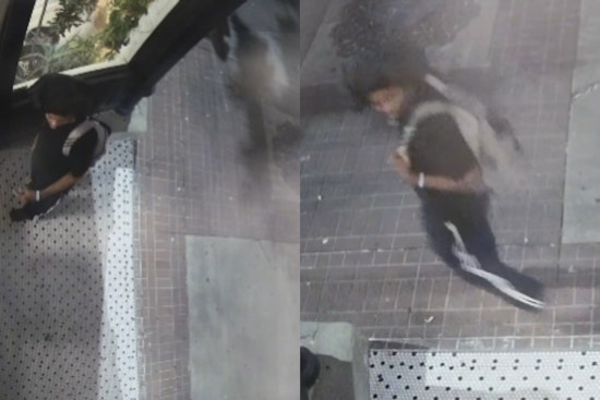 Salt Lake Police Hunt Suspect in Graphic Downtown Assault Near State Street