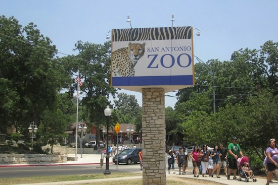 San Antonio Zoo's ZOO BOO! Turns 40 With New Día de los Muertos Trail
