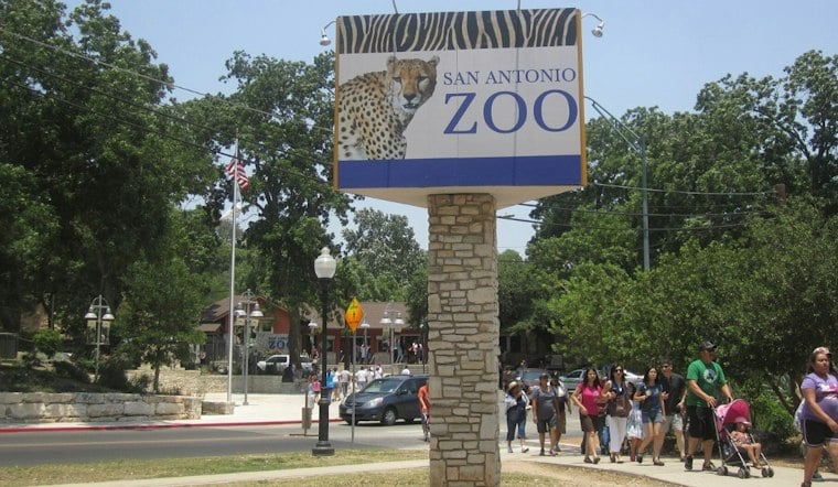 San Antonio Zoo's ZOO BOO! Turns 40 With New Día de los Muertos Trail