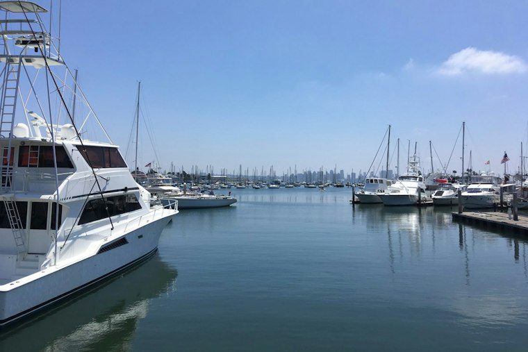 San Diego Anglers Haul In 648-Pound Blue Marlin, Biggest Ever at Fisherman's Landing