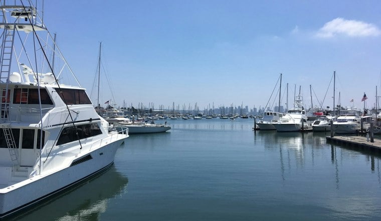 San Diego Anglers Haul In 648-Pound Blue Marlin, Biggest Ever at Fisherman's Landing