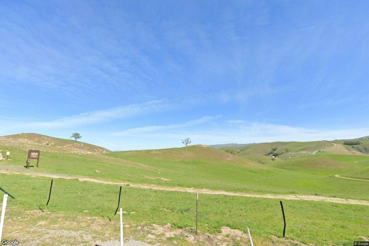 San Jose Hiker Stranded on Boccardo Loop Reports Mountain Lion Stalking Him