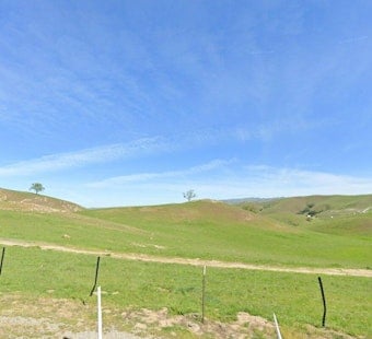 San Jose Hiker Stranded on Boccardo Loop Reports Mountain Lion Stalking Him