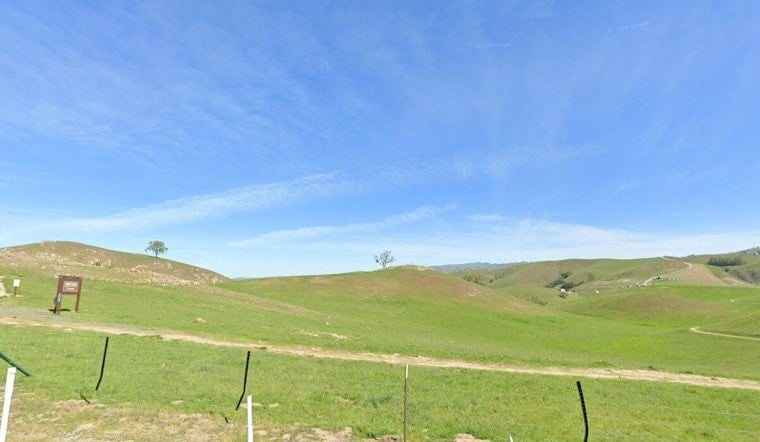 San Jose Hiker Stranded on Boccardo Loop Reports Mountain Lion Stalking Him