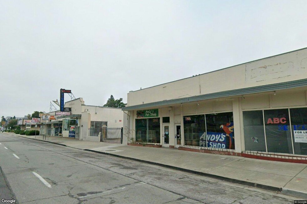 San Jose's Andy's Pet Shop Reopens on Bascom Ave With Its Neon Macaw Restored