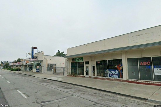San Jose's Andy's Pet Shop Reopens on Bascom Ave With Its Neon Macaw Restored