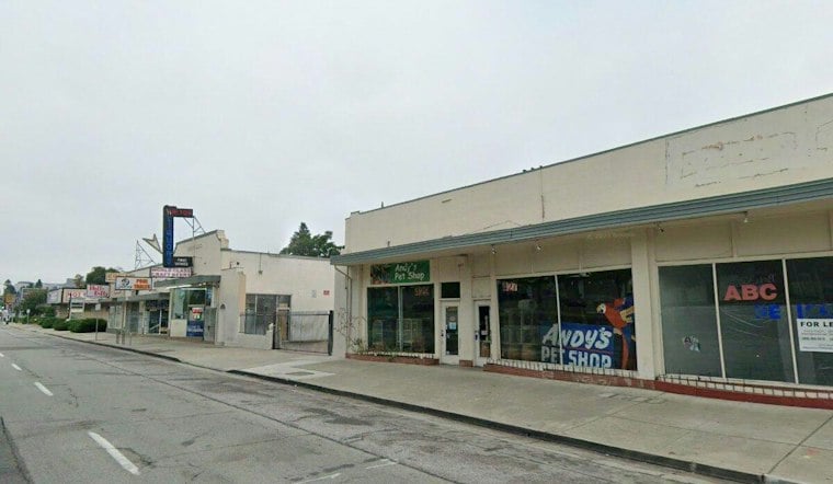 San Jose's Andy's Pet Shop Reopens on Bascom Ave With Its Neon Macaw Restored