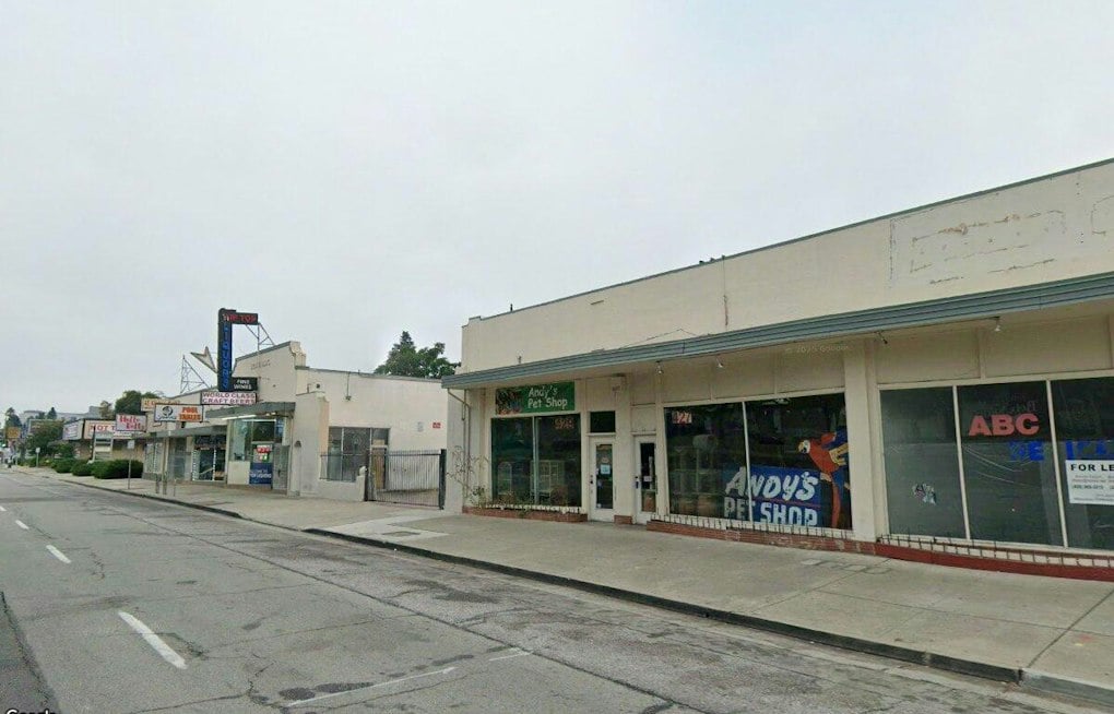 San Jose's Andy's Pet Shop Reopens on Bascom Ave With Its Neon Macaw Restored