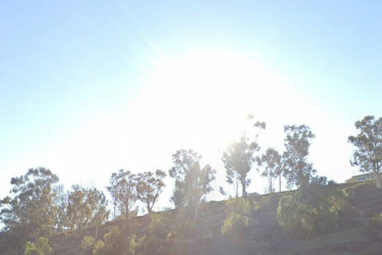 San Jose Sizzles under Sun, Braces for Blustery Weekend Winds