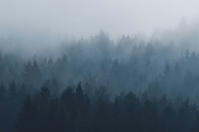 San Jose Wakes in a Fog, Bakes by Noon as Midweek Cooldown Looms
