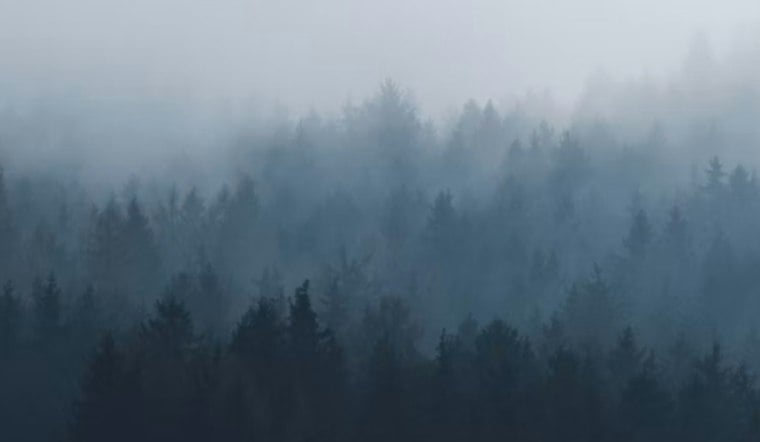 San Jose Wakes in a Fog, Bakes by Noon as Midweek Cooldown Looms