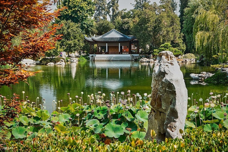 San Marino's Chinese Garden Lights Up for Mid-Autumn Moon Nights, Tickets Selling Fast