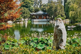 San Marino's Chinese Garden Lights Up for Mid-Autumn Moon Nights, Tickets Selling Fast