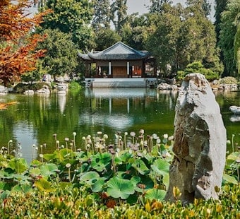 San Marino's Chinese Garden Lights Up for Mid-Autumn Moon Nights, Tickets Selling Fast