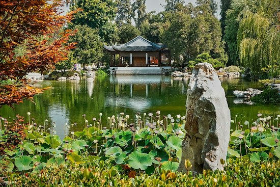 San Marino's Chinese Garden Lights Up for Mid-Autumn Moon Nights, Tickets Selling Fast