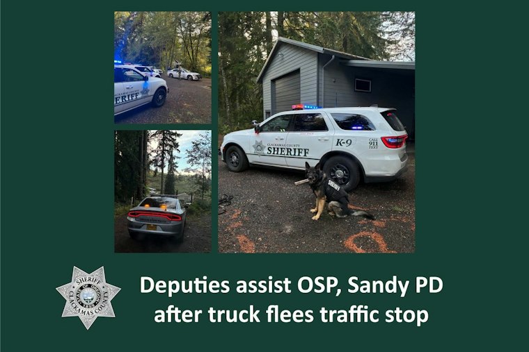 Sandy Driver Hits 40 Over Limit, Ditches Truck, Hides in Blackberry Bushes