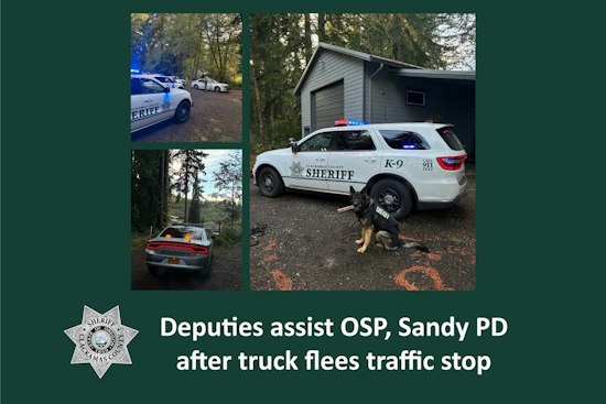 Sandy Driver Hits 40 Over Limit, Ditches Truck, Hides in Blackberry Bushes