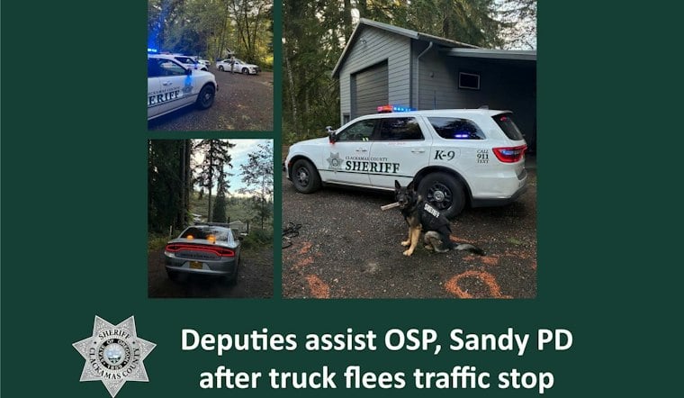 Sandy Driver Hits 40 Over Limit, Ditches Truck, Hides in Blackberry Bushes
