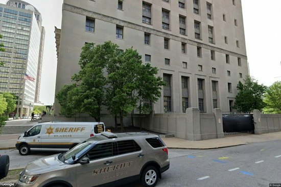 Santa Fe Woman Admits Stealing More Than $100K Meant for Sick St. Louis Pets