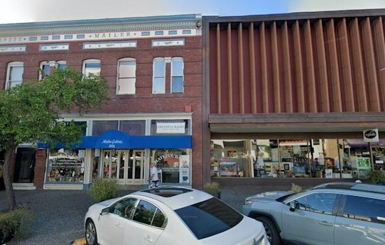 Santa Rosa Fiber Artist Turns Kitchen Dye Job Into Downtown Yarn Shop