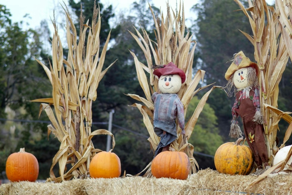 Santa Ynez Valley's Scarecrow Fest Returns Oct. 1 Across Six Towns