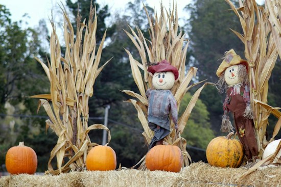 Santa Ynez Valley's Scarecrow Fest Returns Oct. 1 Across Six Towns