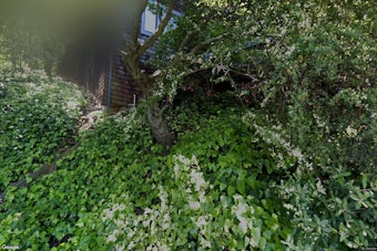 Sausalito's Priciest Home Chases AI Money With a $10 Million Wellness Floor