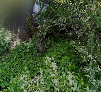 Sausalito's Priciest Home Chases AI Money With a $10 Million Wellness Floor