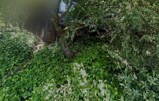 Sausalito's Priciest Home Chases AI Money With a $10 Million Wellness Floor