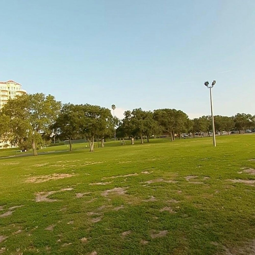SAVOR St. Pete Turns 14, Brings Wahlberg and $10K Cancer Gift to Vinoy Park