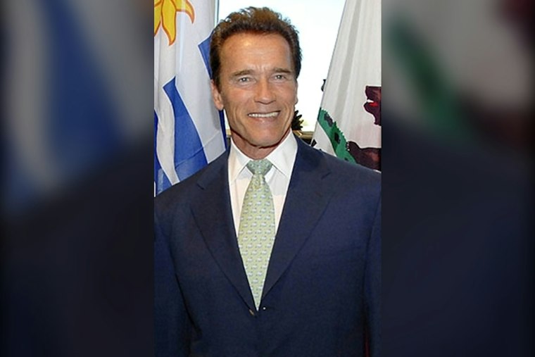 Schwarzenegger Introduces Raman to L.A. Power Players Before Runoff