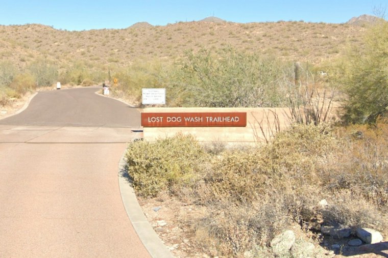 Scottsdale Crews Respond to Two Women, Boy and Dogs Overheated on Preserve Trail