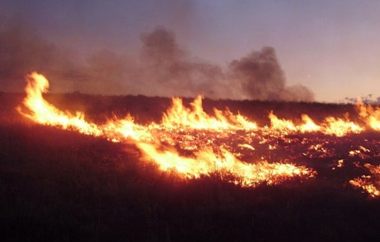 Searles Fire Ignites on Federal Land in Kern County, Cause Still Unknown