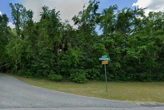 Second Set of Skeletal Remains Found Near Tent in Homosassa in Two Weeks
