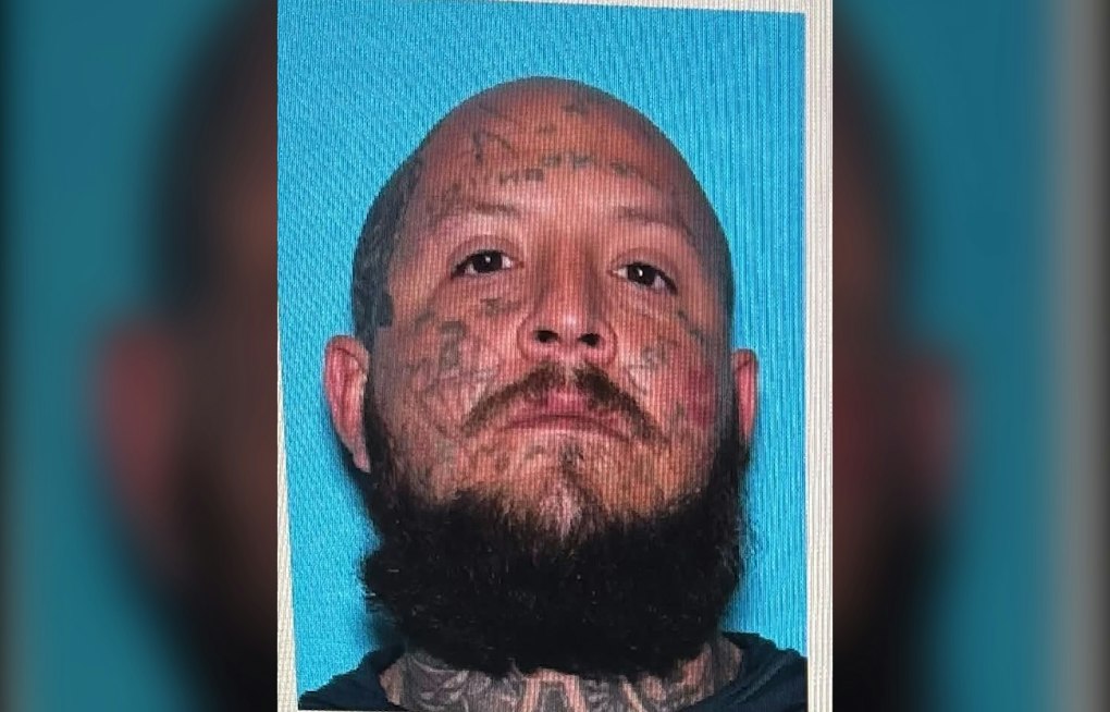 Silver City Police Hunt Armed Man After Teen Stabbed Near Her Heart