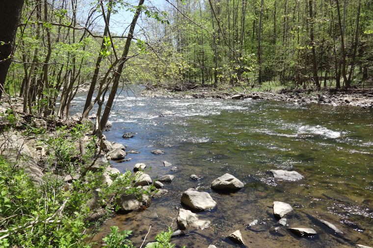 Silver Spring Woman, 39, Found Dead at Patapsco Valley State Park's Lost Lake