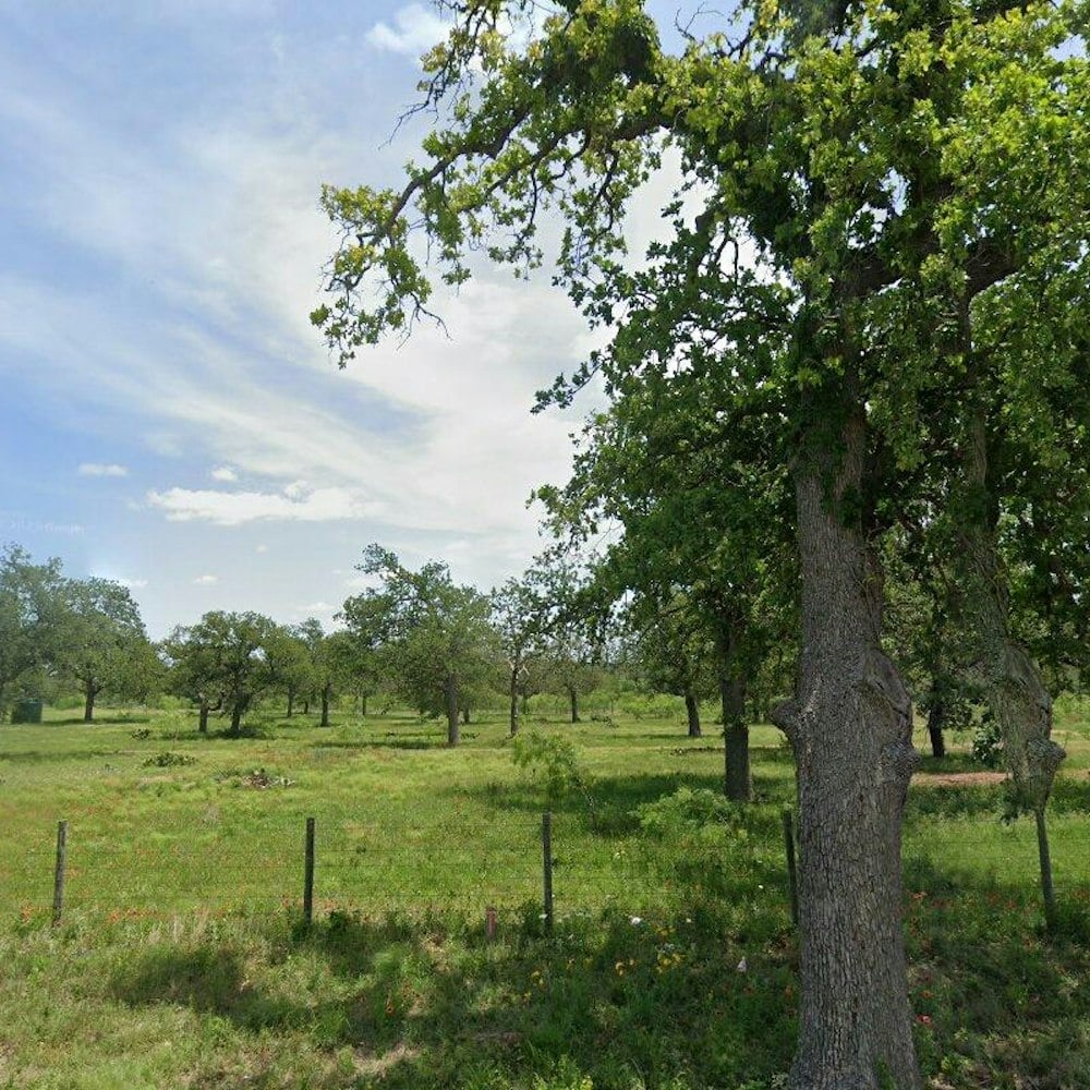 Sixth-Generation Ranching Family Opens Formando Vineyards Off Highway 16