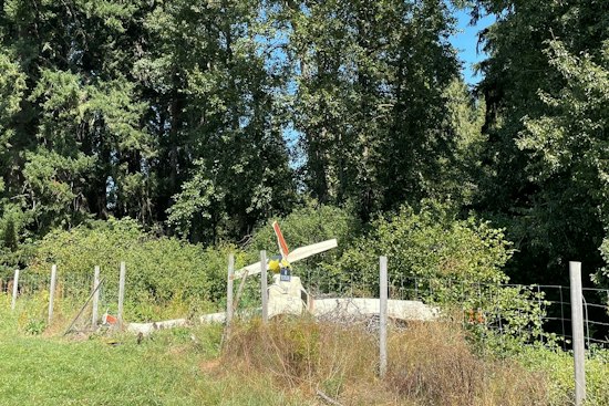 Small Plane Crashes Near Parkdale Orchard, Killing Both Aboard