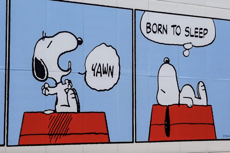 Snoopy Struts Into Meatpacking District With Free Fashion Exhibit
